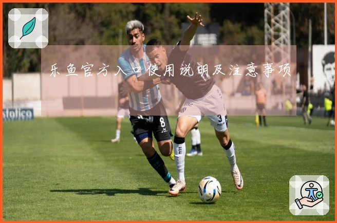 乐鱼官方入口使用说明及注意事项