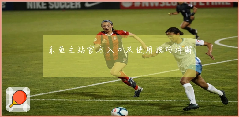 乐鱼主站官方入口及使用技巧详解