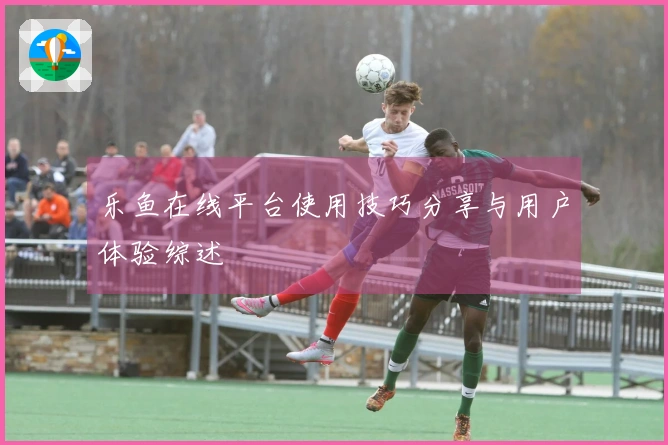 乐鱼在线平台使用技巧分享与用户体验综述