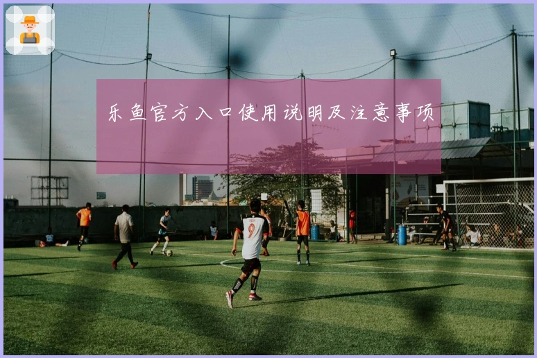 乐鱼官方入口使用说明及注意事项