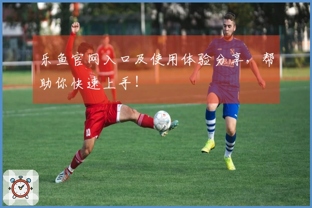 乐鱼官网入口及使用体验分享，帮助你快速上手！