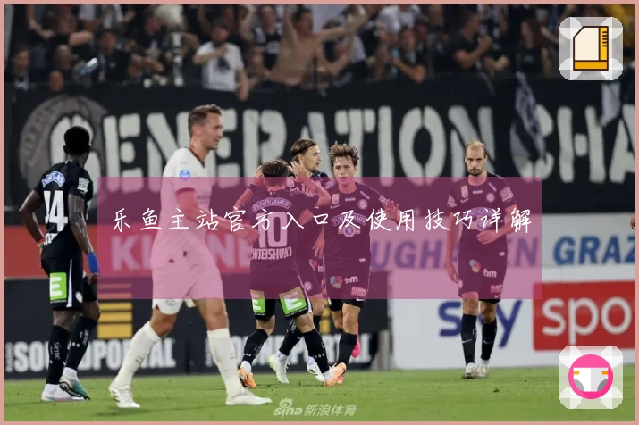 乐鱼主站官方入口及使用技巧详解