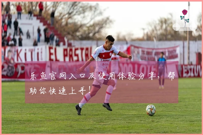 乐鱼官网入口及使用体验分享，帮助你快速上手！